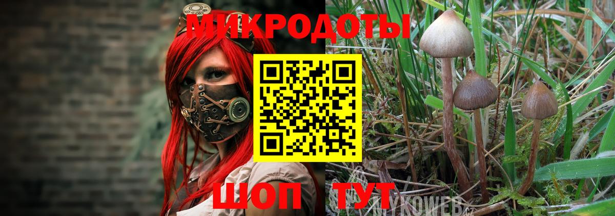 Псилоцибиновые грибы мицелий Петропавловск-Камчатский